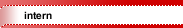 intern intern